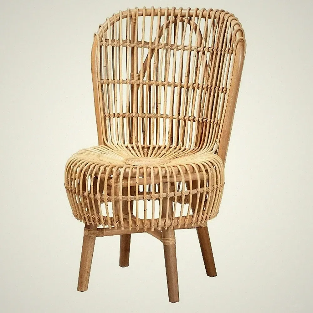 Bowery Hill Rattan Lounge Chair with Curved Backrest in Brown