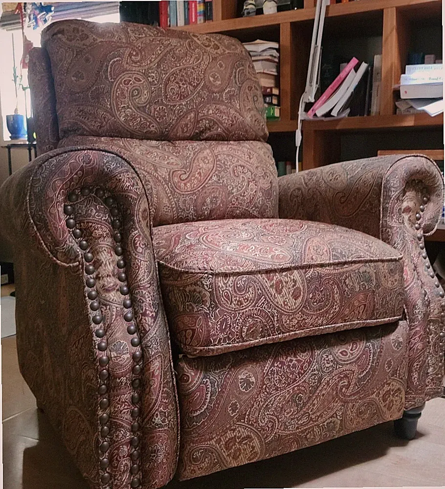Gorgeous Paisley Print Push Back Recliner Chair